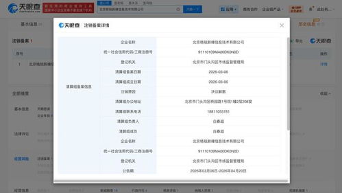 陳震關聯公司擬注銷 計算機系統集成服務的市場變遷與行業反思